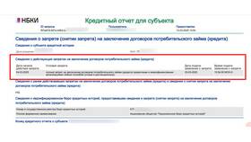 Что дает самозапрет на кредиты через Госуслуги в Бристоль