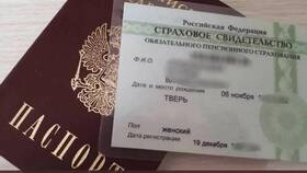 Что можно сделать, зная СНИЛС в Бристоль