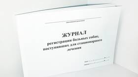 Что такое протокол врачебной комиссии в Бристоль