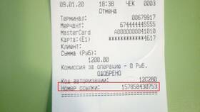 Для чего нужен номер транзакции в Бристоль