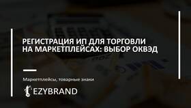 Как добавить новый ОКВЭД для ИП: пошаговая инструкция в Бристоль