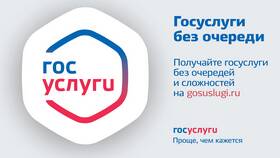 Как получить государственную услугу для другого человека через Госуслуги в Бристоль