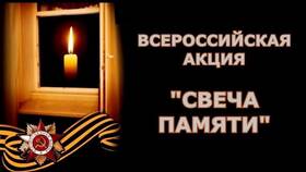 Как проходит акция 