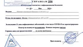 Справка об отсутствии инфекционных заболеваний в Бристоль