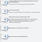 Как создать ООО: пошаговая инструкция