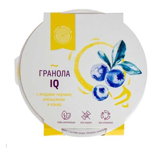 Гранола Fastbrunch IQ с ягодами черники, апельсином и какао 80г Россия в Бристоль