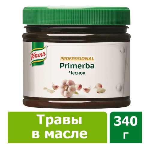 Приправа в растительном масле Knorr Primerba чеснок 340 г в Бристоль