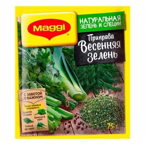 Приправа Maggi весенняя зелень 75 г в Бристоль