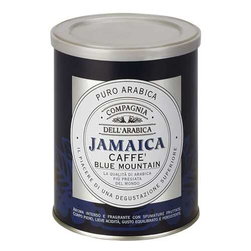 Кофе Compagnia Dell'Arabica Jamaica Blue Mountain молотый 250 г в Бристоль