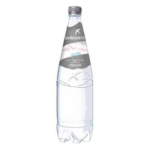 Вода питьевая San Benedetto негазированная пластик 1 л 6 штук в упаковке в Бристоль