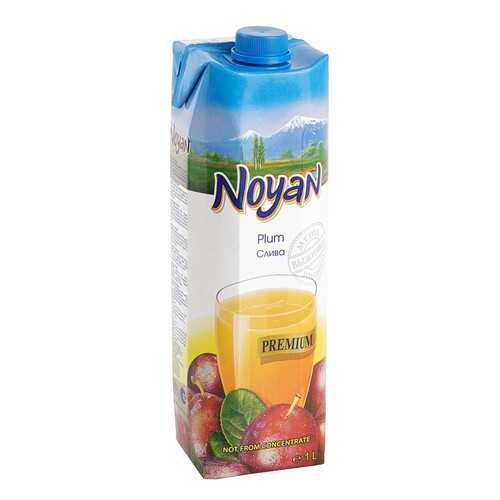 Сливовый нектар Noyan premium 1 л в Бристоль